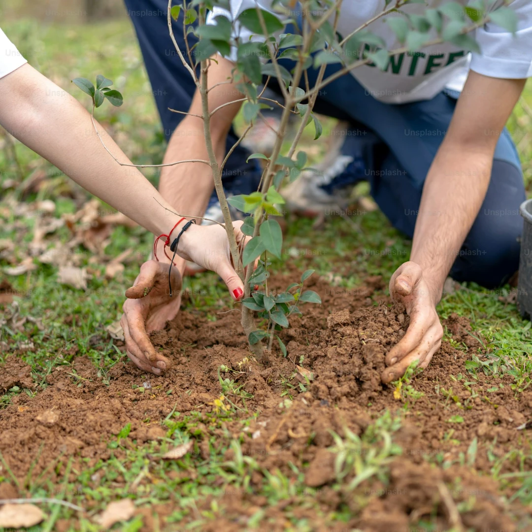 Human and Nature Development Society (HANDS) Tree Plantation Program Image